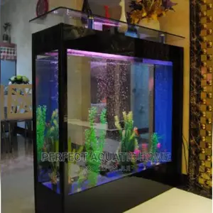 Aquarium Fish Tank Water View