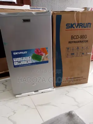Skyrun 95litres Refrigerators Energy Safety