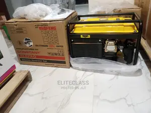 Best and Quality Elepaq Constant 4.5kva Manual Generator