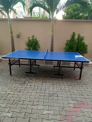 Haggi Outdoor S5 Table Tennis Board With Accessories