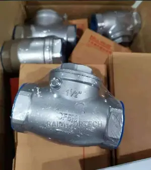 Stainless Steel Non-Return Valve Threaded End