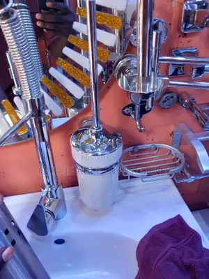 Executive Toilet Brush