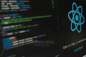 Full/Mern Stack Developer