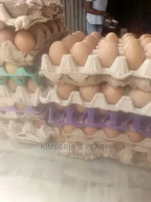 Very Good Eggs For Sale