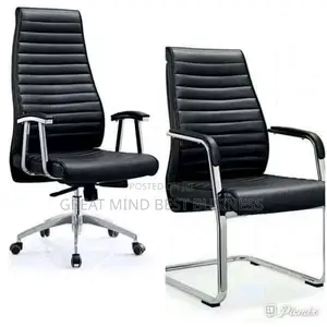 Executive Office Chair and Visitor