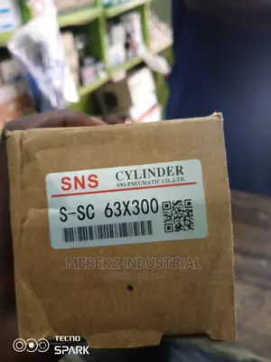 SNS Pneumatic Cylinder
