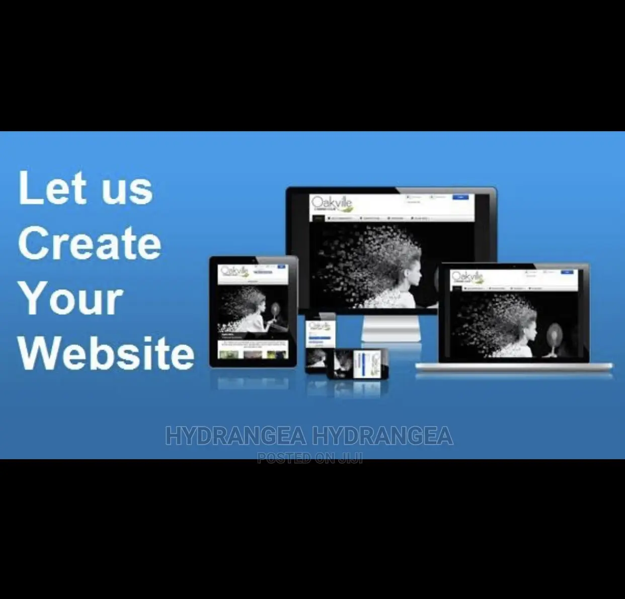 Website Designer/Developer{Coder}