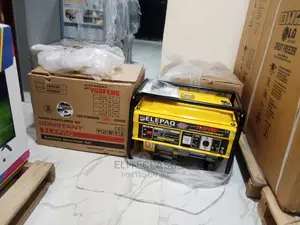 Powerful Elepaq Constant Sv6800 Manual Generator 4.5kva