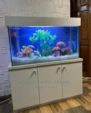 Aquarium Fish Tank