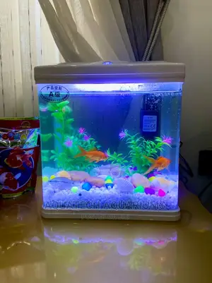 Nano Fish Tank
