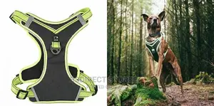 Pets At Home 3 Peaks Control Ascent GREEN MEDIUM Dog Harness