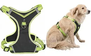 Pets at Home GREEN LARGE 3 Peaks Control Ascent Dog Harness