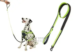 Pets at Home 3 Peaks Grey and Neon Bungee Dog Lead Large