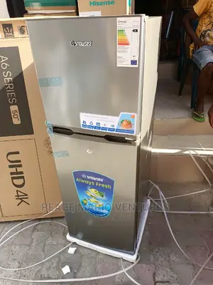 Original Snowsea Standing Refrigerator With 2years Warranty