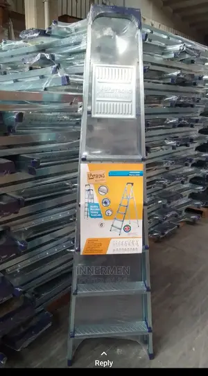 6 Steps Ladder