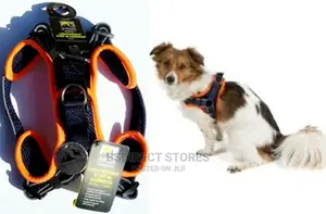 3 Peaks ORANGE LARGE Lightweight Step- In Reflective Harness