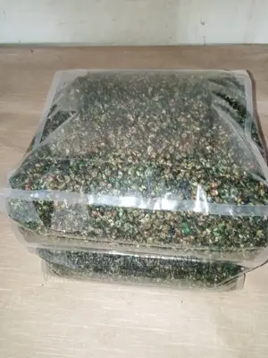 Dried Periwinkles(Dehydrated)