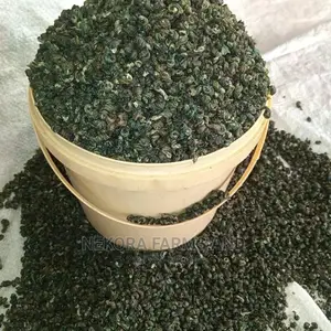 Dried Periwinkles(Dehydrated)