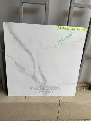 Quality Spanish Tiles 60*60 MB