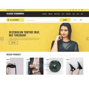 Build A Professional Website