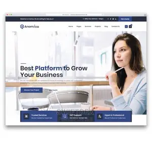 Build A Professional Website