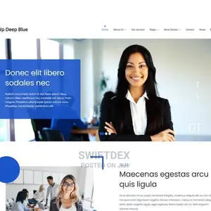 Build A Professional Website