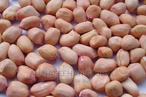 Samnut 24 Groundnuts