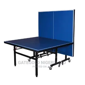 Dq-T002a Outdoor Table Tennis (With Net and Cover)