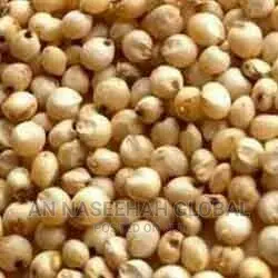 Good Quality Sorghum