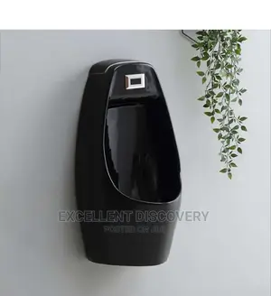 Urinal Sensor Bowl