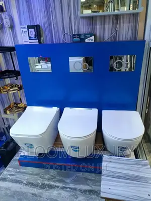 Suspended Conceal Toilet