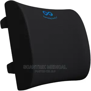 Lumbar Support Back Cushion Pillow