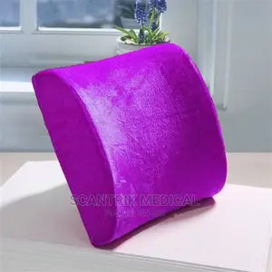 Cushion Lumber Back Support Pillow Set