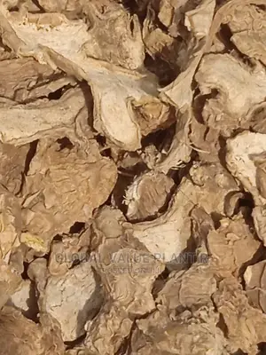 Dry Ginger , Per Kg