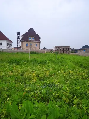 Standard Plots of Land Almost Dry in a Developing Area