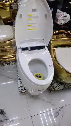 Smart Electric Executive Water Closet Available Now