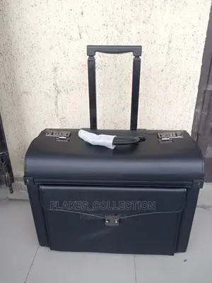 Pilot Case