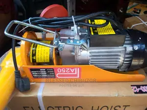 Electric HOIST 250kg