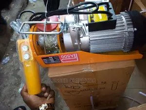Electric HOIST 500kg