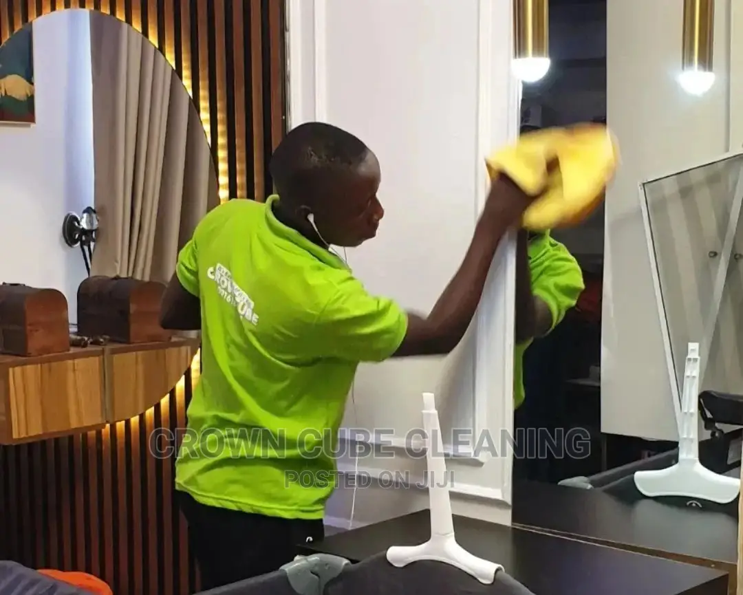 Professional Cleaning Services