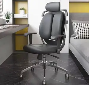 Executive Ergonomic