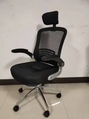 Executive Ergonomic Chair
