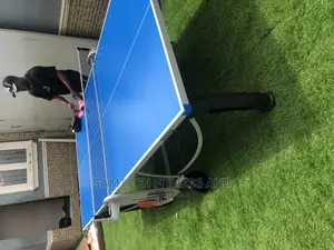 Heavy Duty Outdoor Table Tennis