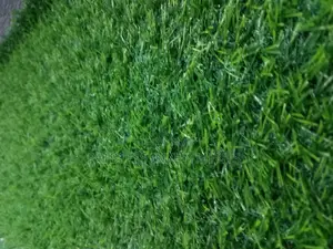 Artificial Grass Carpet, #7000 Per Sqm.
