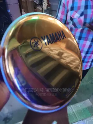 Gold Drum Head. Volen