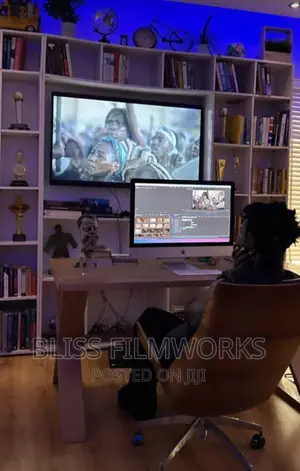 Professional Video Editor