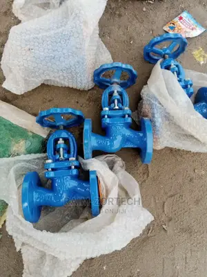 Cast Iron Globe Valve by 125