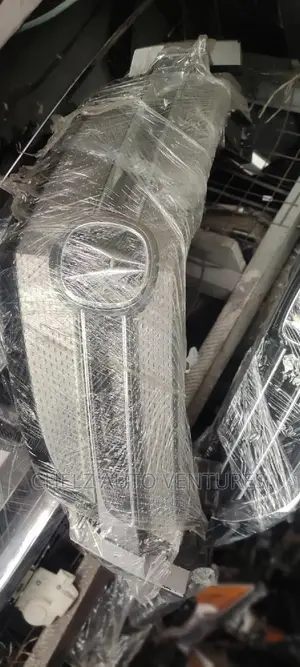 Front Grille 08 Acura Mdx