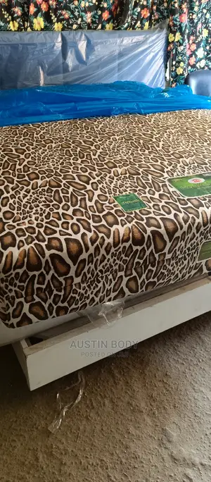 USA Orthopedic Spring Mattress