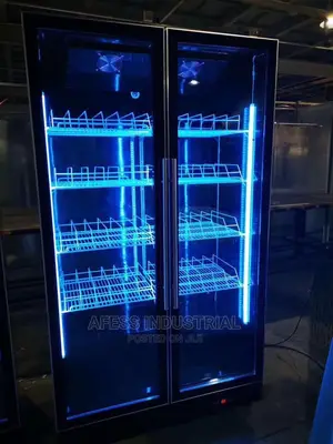 Double Door Display Chiller With Led Light